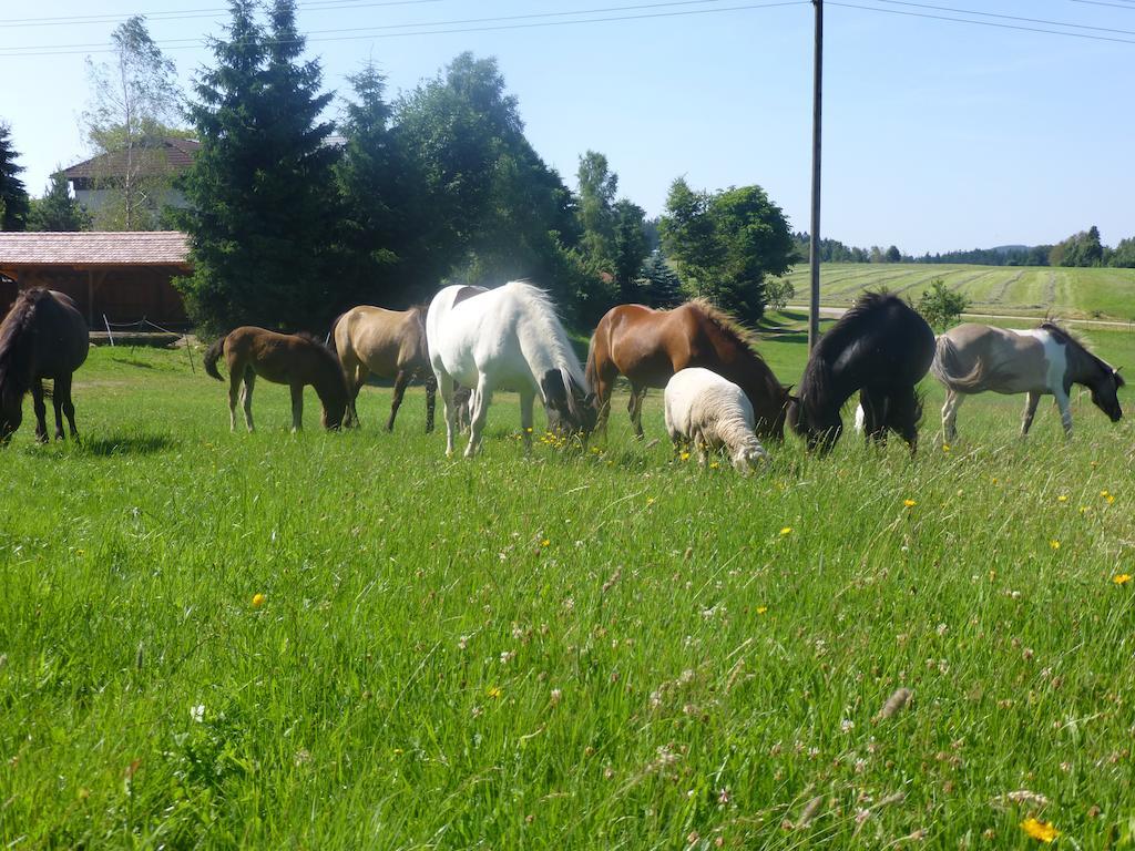 Landgasthof Zum Schwanen Hornberg Exteriér fotografie